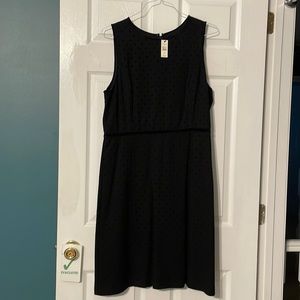 Talbots a-line velvet polka dotted dress